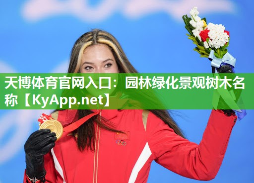 園林綠化景觀樹木名稱